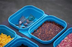 Drennan 3 Pint Modular Bait Box 1.7L - mit Löcher