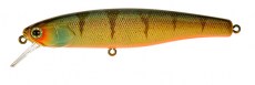 ILLEX ARNAUD 110 F AGRESSIVE PERCH, Modell 2023