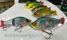 GUNKI SCUNNER 175 S TWIN Red Perch, bleifrei, Neuheit 2023