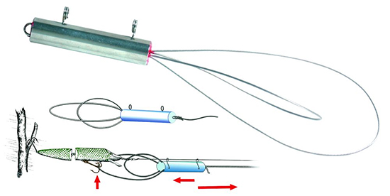 wobbler retter quantum